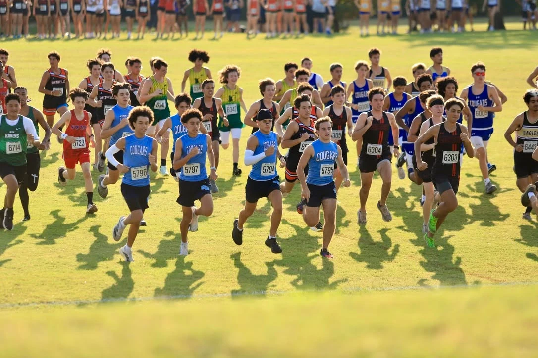 A boys cross-country field racing across a sunlit grass course